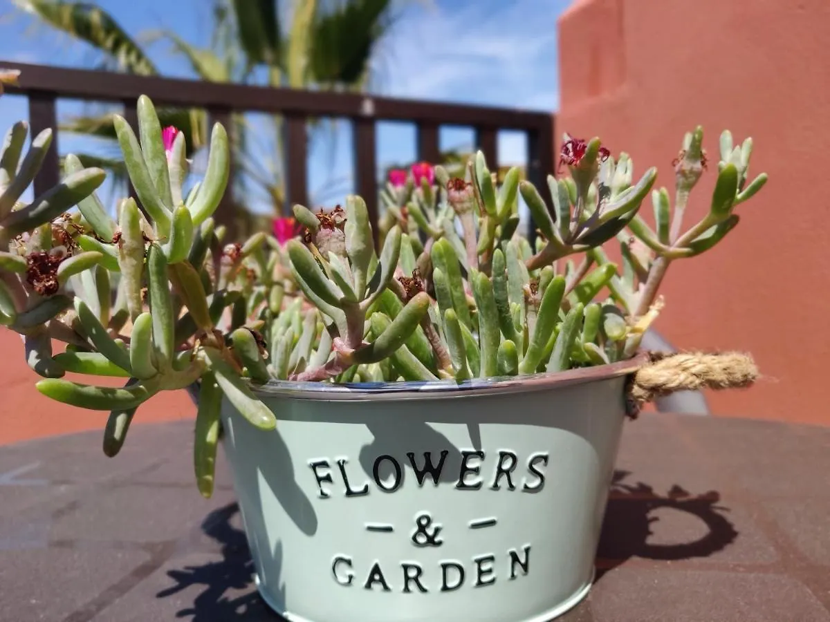 Apartamento Casa Poppins Corralejo